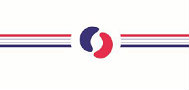Logo Nefro 1